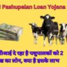 SBI Pashupalan Loan Yojana 2024: एसबीआई दे रहा है पशुपालकों को 2 लाख का लोन, क्‍या है इसके लाभ